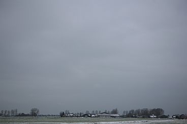 070208barendr-030.jpg