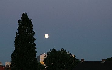 070604maan-016.jpg
